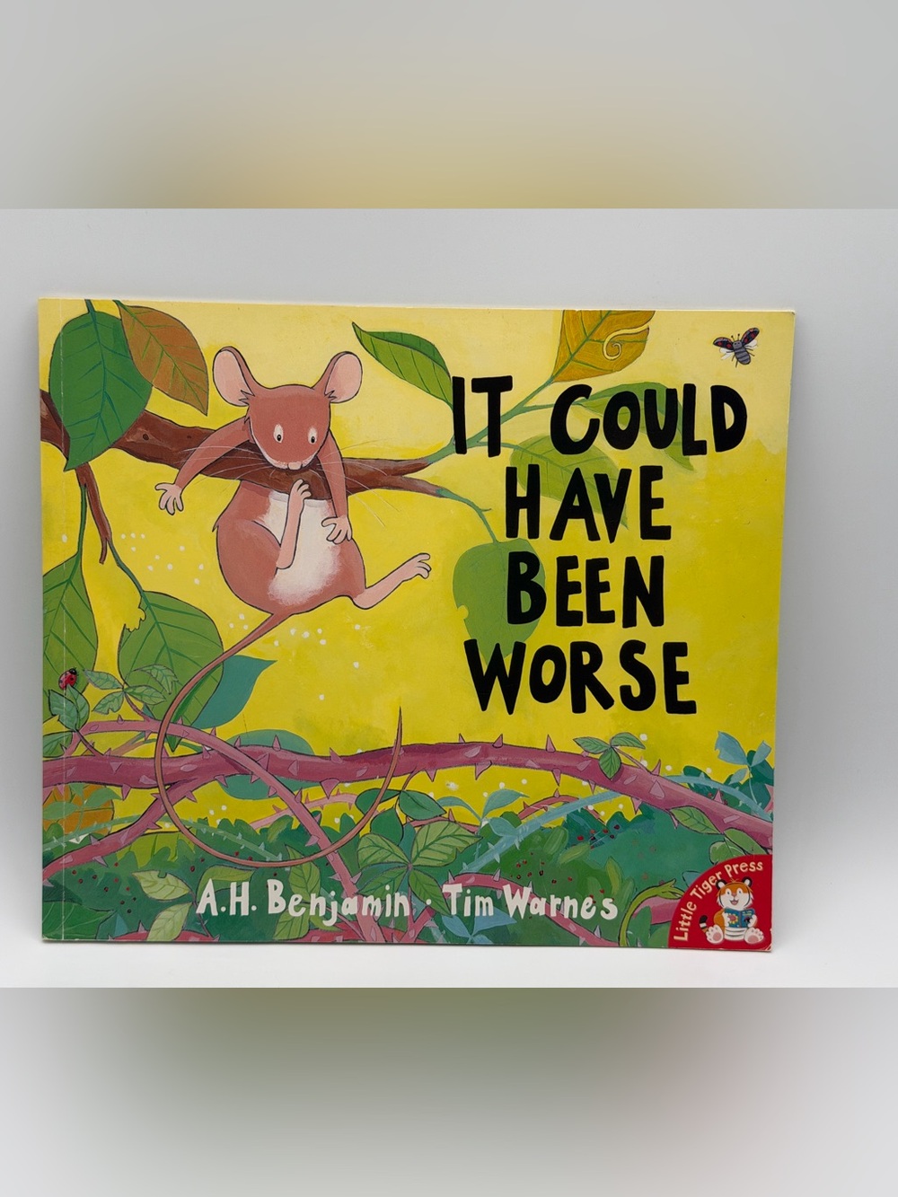 It Could Have Been Worse By A.H. Benjamin & Tim Warnes Paperback Book 2008